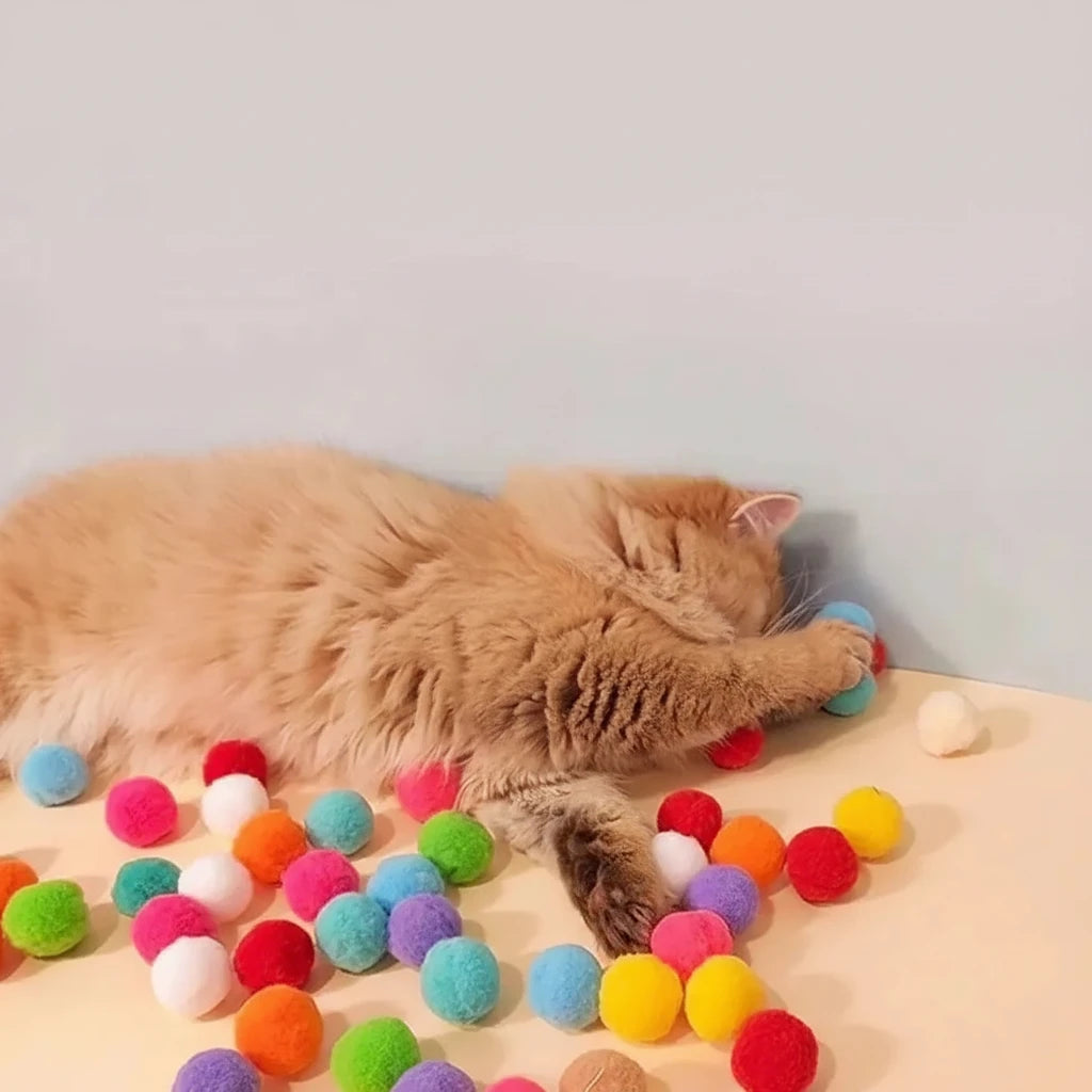 Lanceur de balles Felismart - Mur&Moi