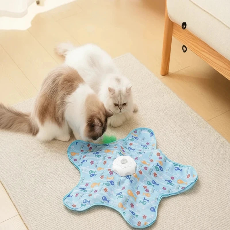 Jouet éducatif cache-cache avec souris Félismart - Mur&Moi