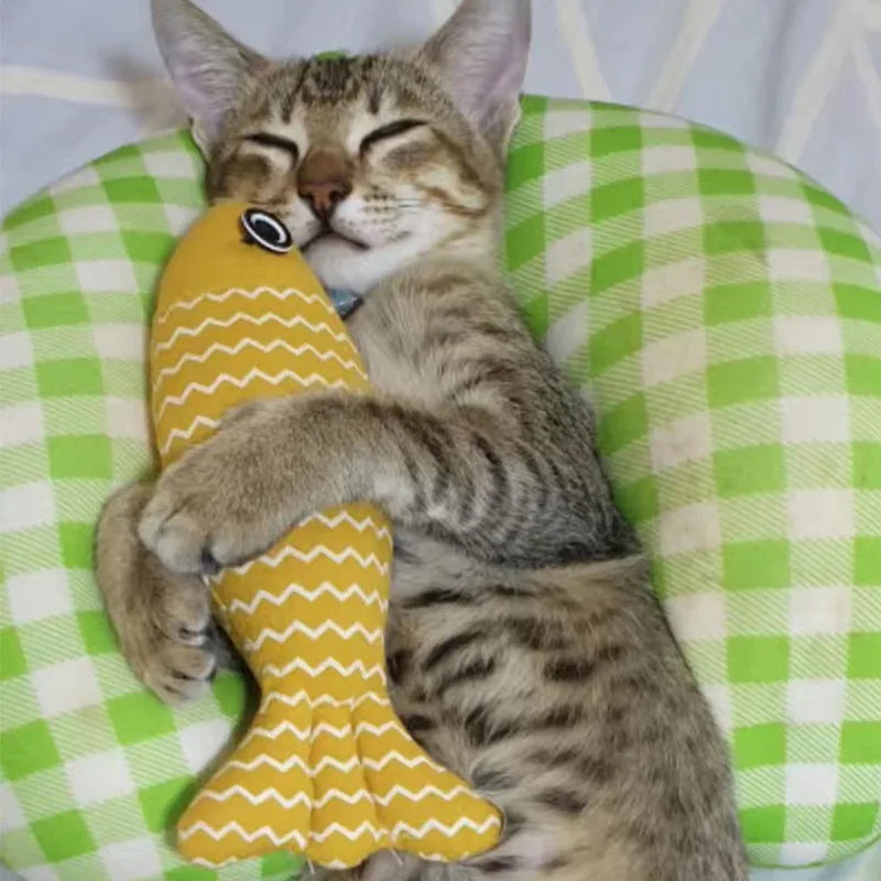 Cat Toys Fish Interactive Cat Toy Cat Chew Toy Simulation Fish Cat Pillow Kitten Exercise Kicker Toys for Indoor Cats Kitty Kit - Mur&Moi