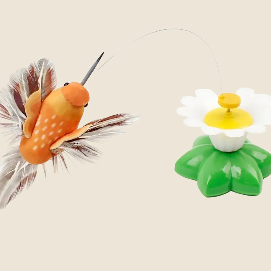 Electric Flying Bird Teasing Stick Automatically Spins Around Hummingbird, Cat Self Hi Toy - Mur&Moi
